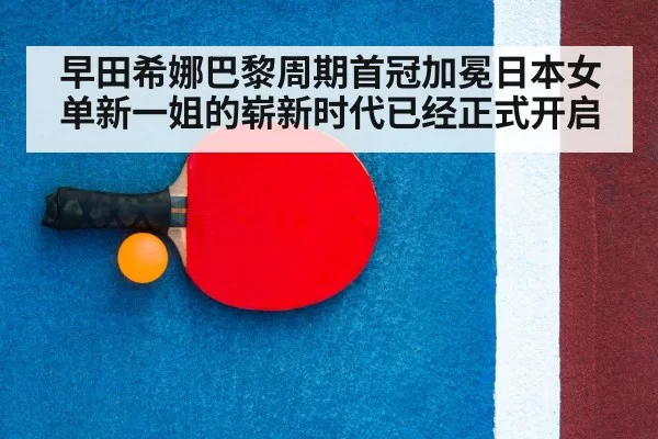 table tennis racket