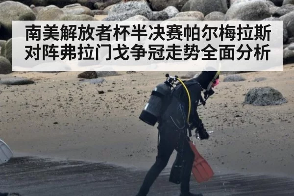 南美解放者杯半决赛帕尔梅拉斯对阵弗拉门戈争冠走势全面分析